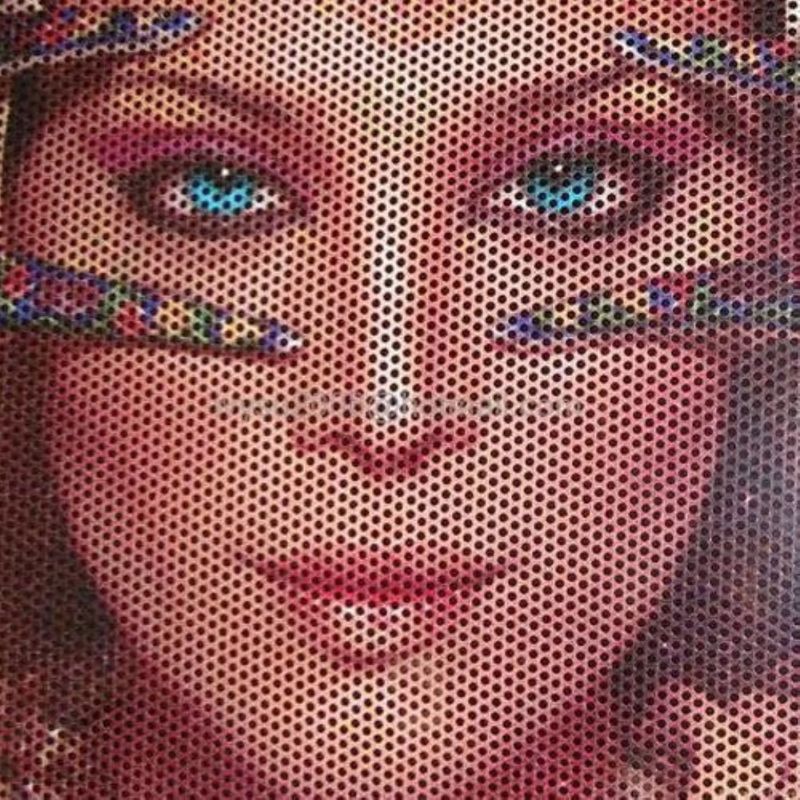 One Way Vision Printing Matrix Advertising